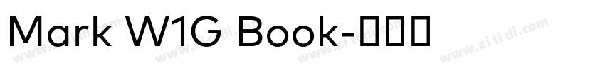 Mark W1G Book字体转换